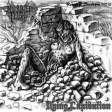 Morbid Flesh - Dying Lapidation '2009