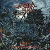 Infested Blood - Demonweb Pits '2013