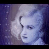 Cyndi Lauper - Who Let In The Rain '1993