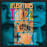 Fleshtones, The - Take A Good Look! '2008