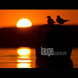 Lauge - Web '2015
