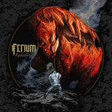 Ferium - Reflections '2014