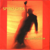 Spyro Gyra - Wrapped In A Dream '2006