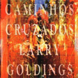 Larry Goldings - Caminhos Cruzados '1994