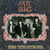 Mr. Big - Green Tinted Sixties Mind '1990