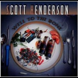 Scott Henderson - Well To The Bone '2002