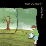 Tevet Sela Quartet - Coming True '2007