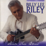 Billy Lee Riley - Shade Tree Blues '1999