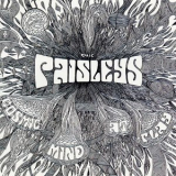 The Paisleys - Cosmic Mind At Play '1970