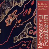 Joe Morris  &  Simon H Fell  &  Alex Ward - The Necessary And The Possible '2009