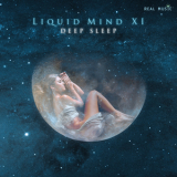 Liquid Mind - Liquid Mind XI. Deep Sleep '2016
