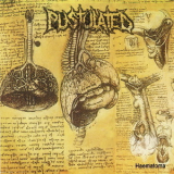 Pustulated - Haematoma '2005