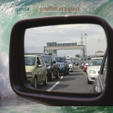 QandA - Goldfish in a Glass '2016