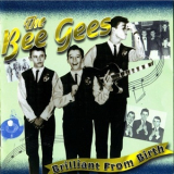 Bee Gees - Brilliant From Birth '1998