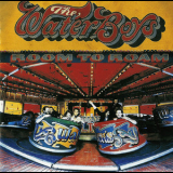 Waterboys, The - Room To Roam '1990