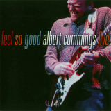 Albert Cummings Live - Feel So Good '2008