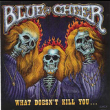 Blue Cheer - What Doesn`t Kill You... '2007