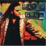 David Gogo - David Gogo '1994