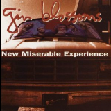 Gin Blossoms - New Miserable Experience '1992