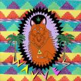 Wavves - King Of The Beach '2010