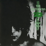 Waterboys, The - A Pagan Place '1984