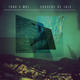 Toro Y Moi - Causers Of This '2010