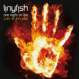 Tinyfish - One Night On Fire '2009