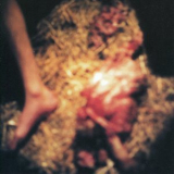 Fen - Surgical Transfusion Of Molting Sensory Reflections '2000