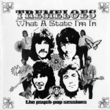 The Tremeloes - What A State I'm In '2003