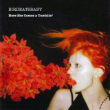 Birdeatsbaby - Here She Comes-a-Tumblin'  '2009