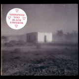 Godspeed You! Black Emperor - 'Allelujah! Don't Bend! Ascend! '2012