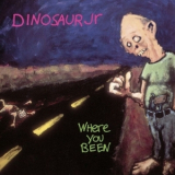 Dinosaur Jr. - Where You Been '2006