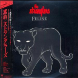 The Stranglers - Feline '1982