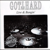 Gotthard - Live & Bangin' '2015