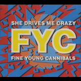 Fine Young Cannibals - She Drives Me Crazy (CDS) '1989