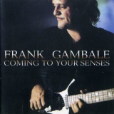 Frank Gambale - Coming To Your Senses '2000