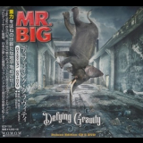 Mr. Big - Defying Gravity '2017