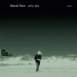 David Torn - Only Sky '2015