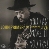 John Primer & The Teardrops - You Can Make It If You Try. Live '2014
