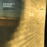 Tim Berne's Snakeoil - Incidentals (HDtracks) '2017