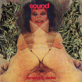 Sound - Screaming Zenith '2002