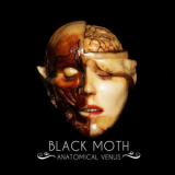 Black Moth - Anatomical Venus '2018