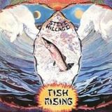 Steve Hillage - Fish Rising '1975