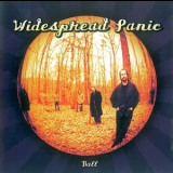 Widespread Panic - Ball '2003