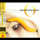 A Perfect Circle - Thirteenth Step '2003