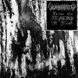 Wombripper - From The Depths Of Flesh '2018