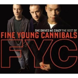 Fine Young Cannibals, The - She Drives Me Crazy - The Best Of... (2CD) '2008