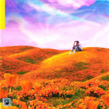 Rexx Life Raj - California Poppy '2018