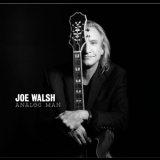 Joe Walsh - Analog Man '2012