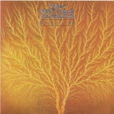 Van Der Graaf Generator - Still Life '1976